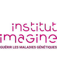 Institut Imagine